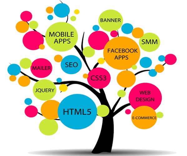 Website design in Udaipur