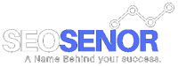 SEOsenor- Seo company in udaipur, Rajasthan, India